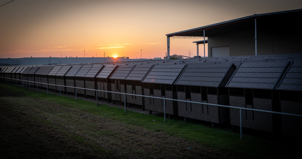 Deer Hunting Blinds made in the USA